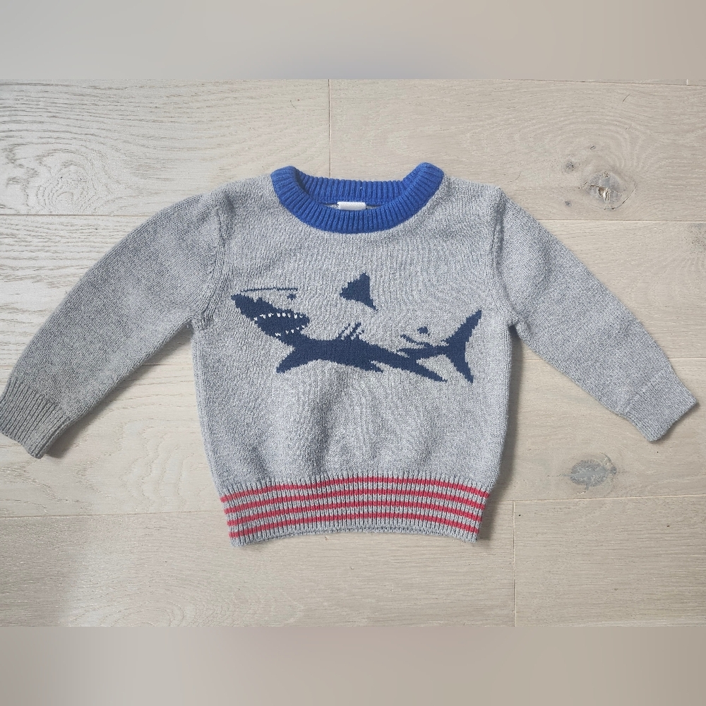 Baby GAP Boy's Knit Sweater